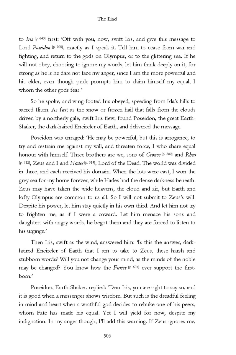 The Iliad - Page 300